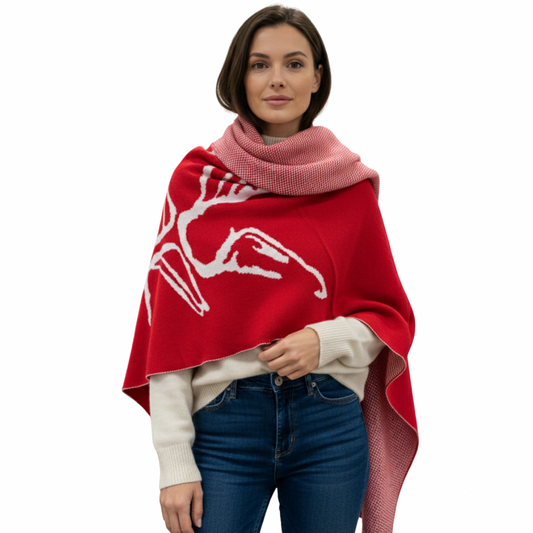 Authentic Reversible Poncho